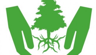Проведение экологической акции «Восстановим леса вместе»